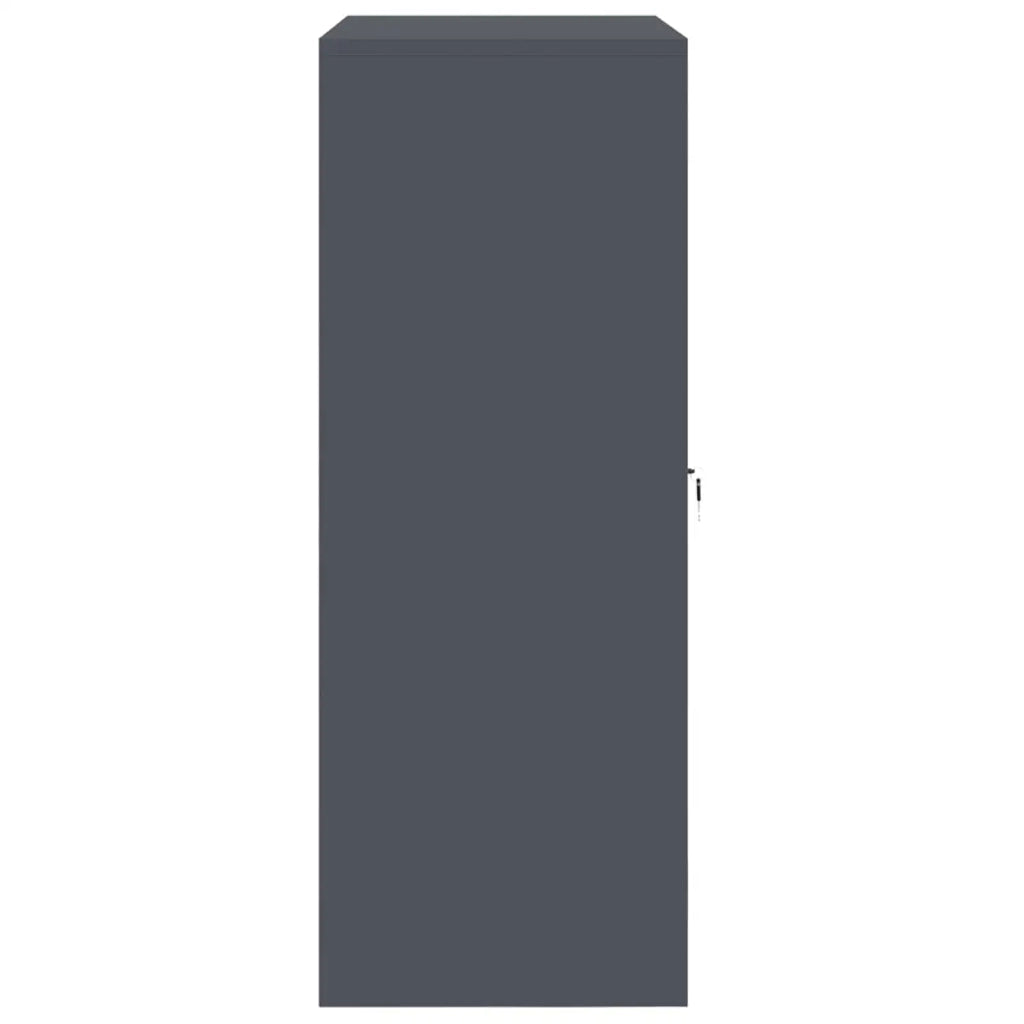 Armadio Antracite 90 x 40 x 105 cm Acciaio