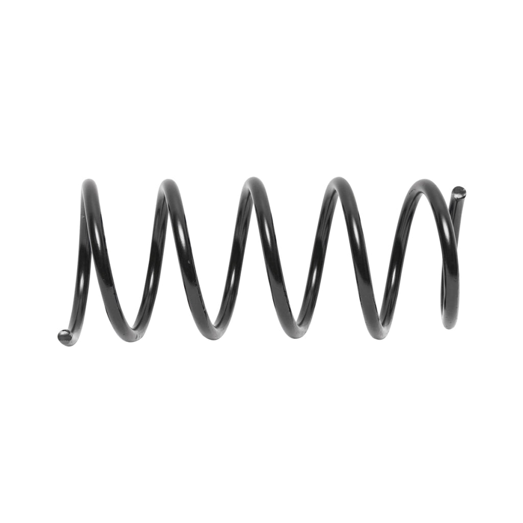 Molla posteriore Dacia Duster 4x4 550202720R