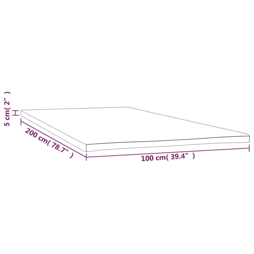 Coprimaterasso-Fodera per Materasso 100x200x5 cm
