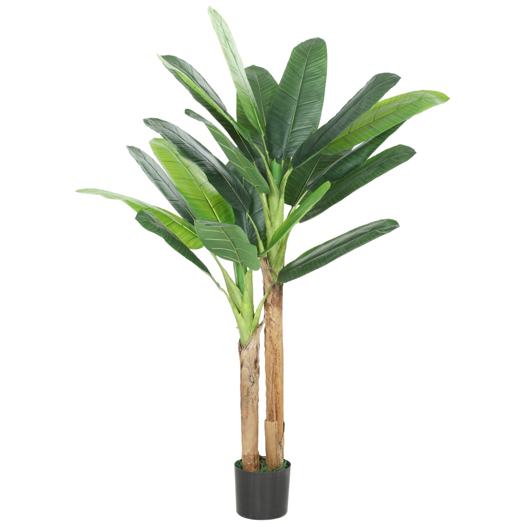 Pianta Artificiale Banano 150 cm ¨C Xylo ¨C Verde con Vaso e 2 Tronchi