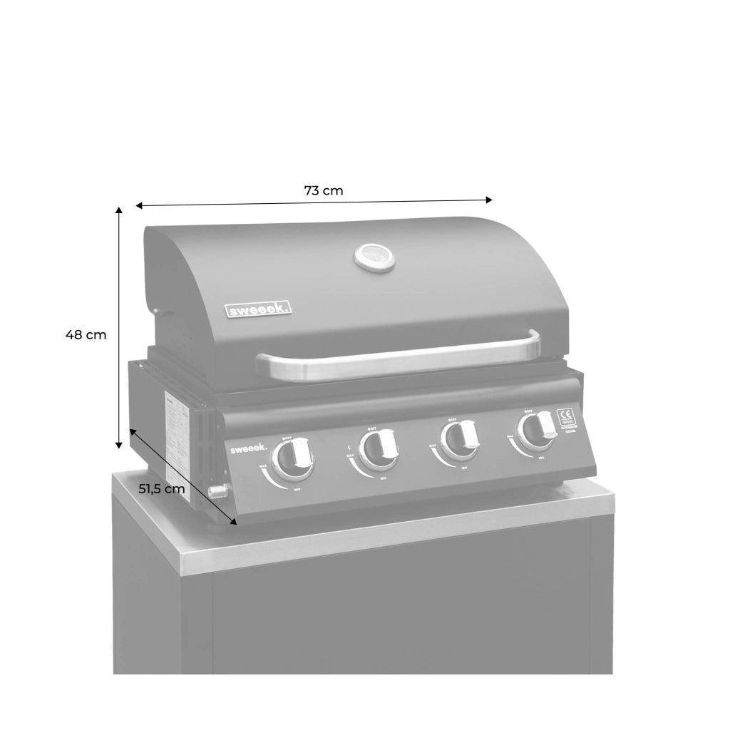 Barbecue a gas a 4 bruciatori, argento