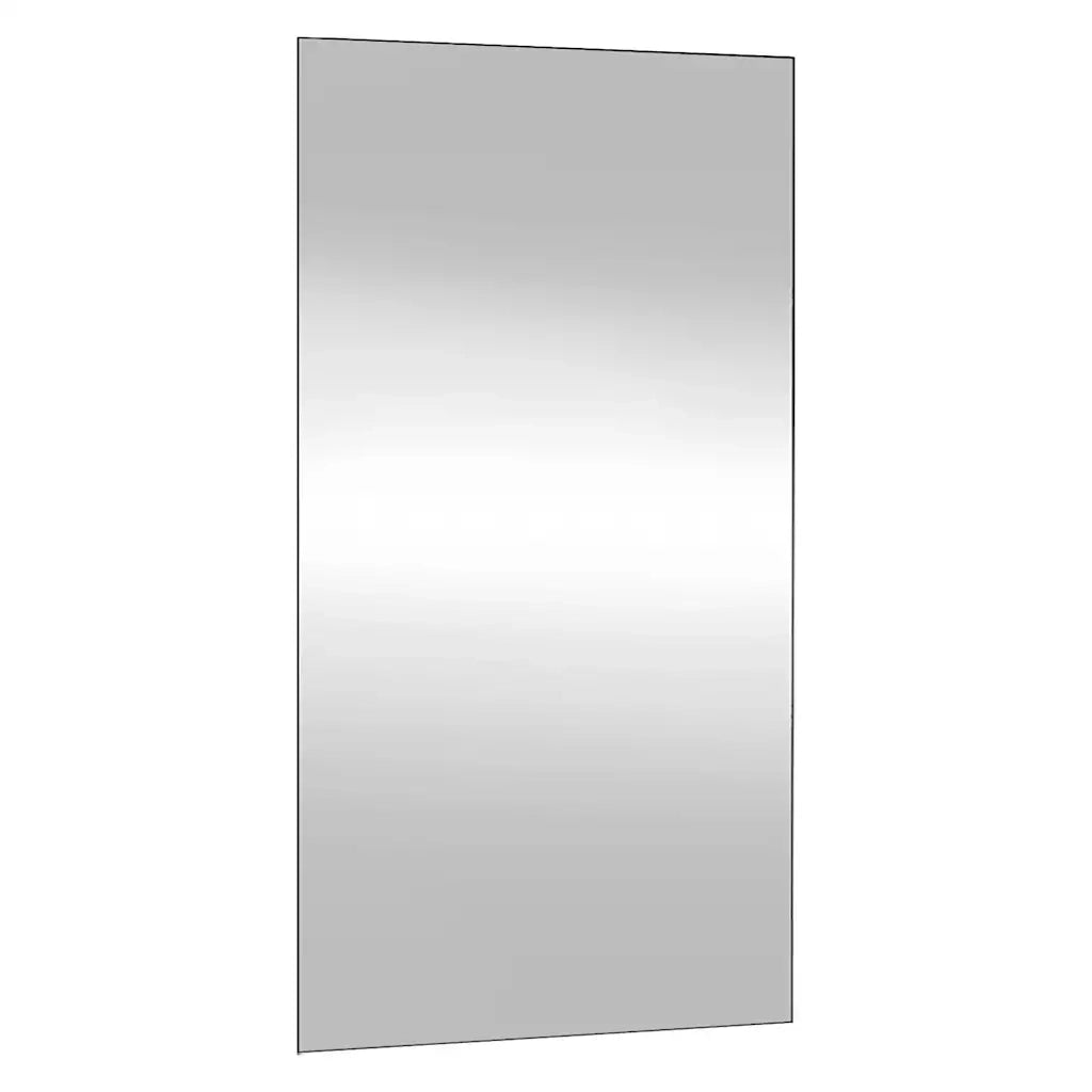 Specchio da Parete 50x100 cm Vetro Rettangolare 350451