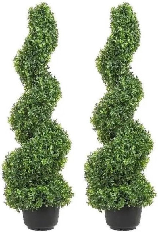 Pianta ornamentale in spirale per interni ed esterni