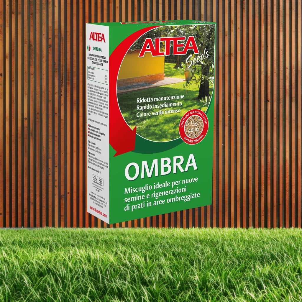 Altea semi per prato ombra kg 1