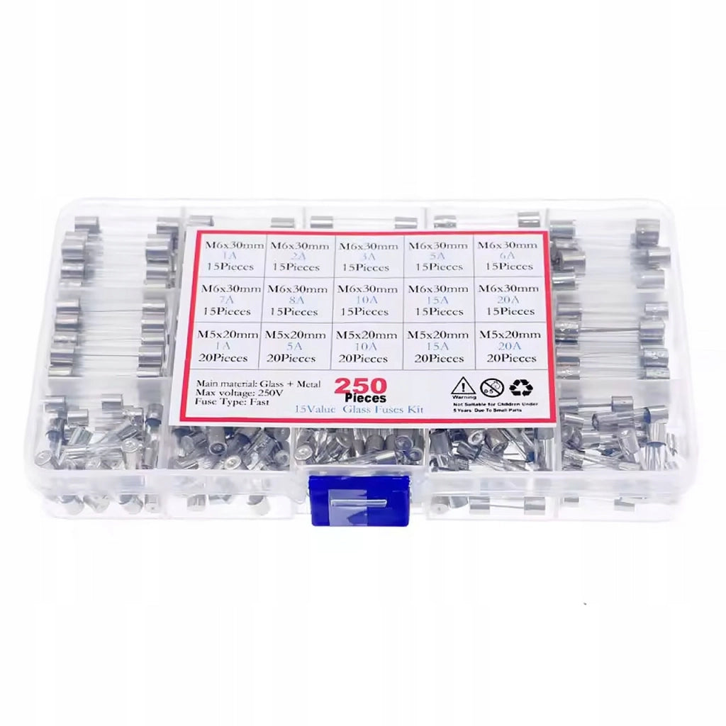 Set di Fusibili in Vetro WTA FuseBox Pro 250 – 250 Pezzi | 250V | 1A-20A | 5x20 mm + 6x30 mm | Rapida Reazione