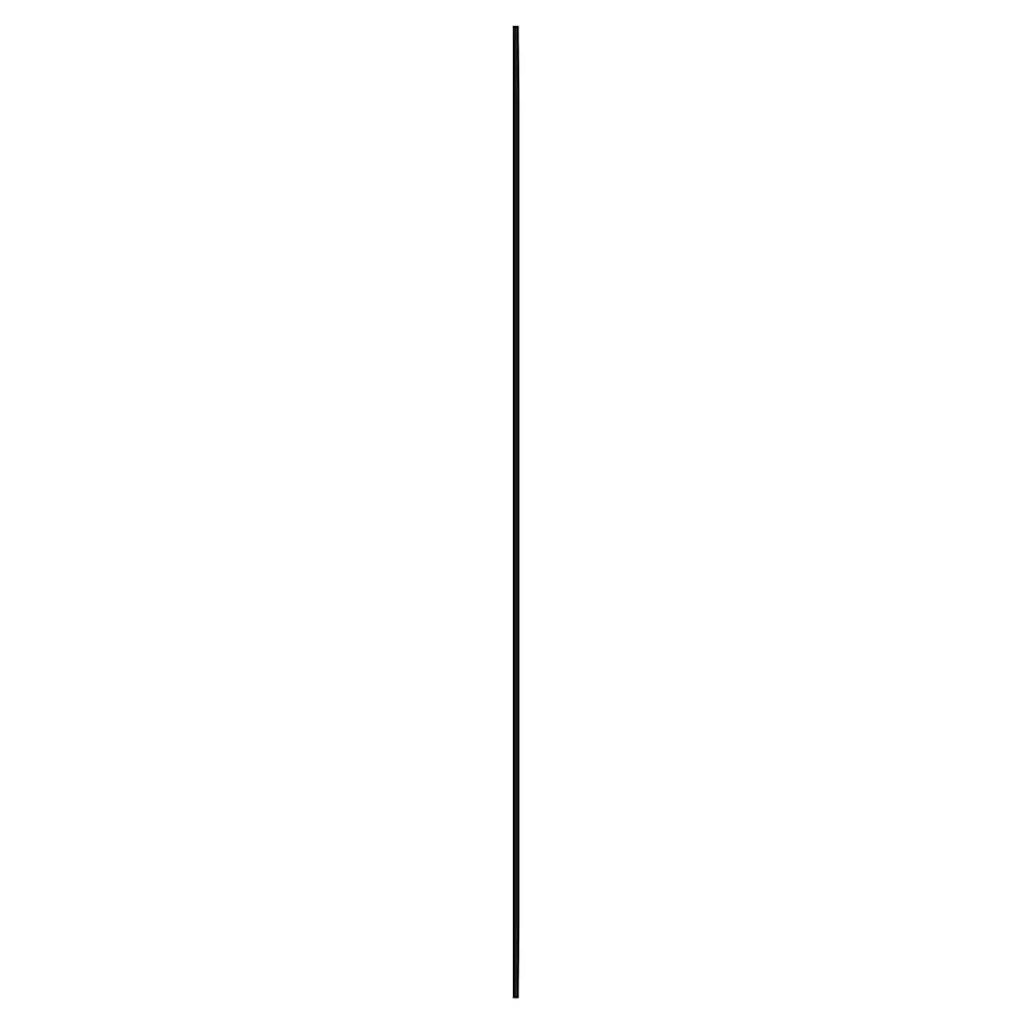 Specchio da Parete 30x80 cm Vetro Rettangolare 350444
