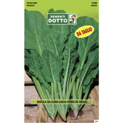 SEMENTI EXTRA_BIETA LISCIA VERDE DA TAGLIO