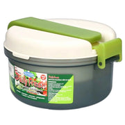 Lunch box 5 pz con refrigerante Daily Fresh