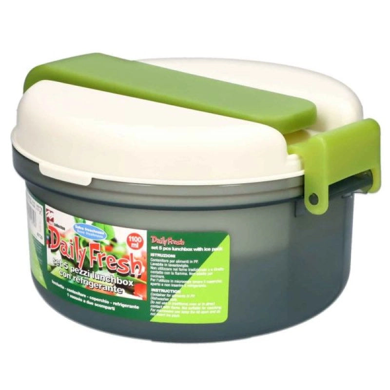 Lunch box 5 pz con refrigerante Daily Fresh
