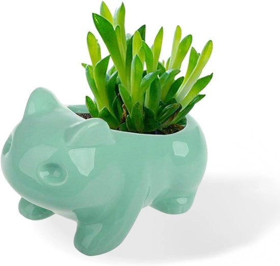 Vaso ceramico giocoso per ambienti interni - mini vaso per cactus e piante grasse
