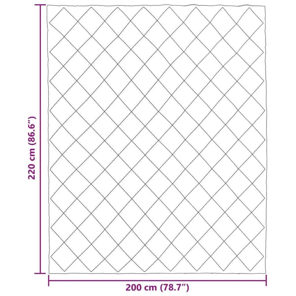 Duvet Invernale Antracite 200 x 220 cm Microfibra 42025652