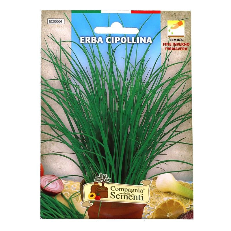 BUSTA SEMENTI ERBA CIPOLLINA
