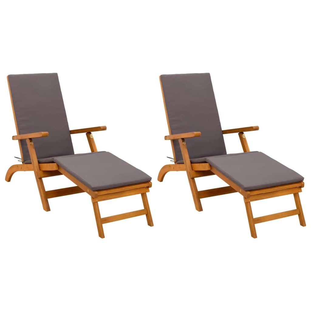 Lettino prendisole reclinabile e pieghevole 2 pcs Grigio 42025008