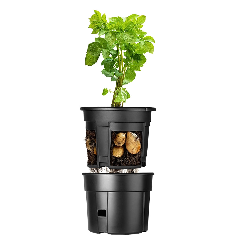 Vaso KADAX per piantare patate e ortaggi, con coperchio e inserto, 31 cm, 12 litri.