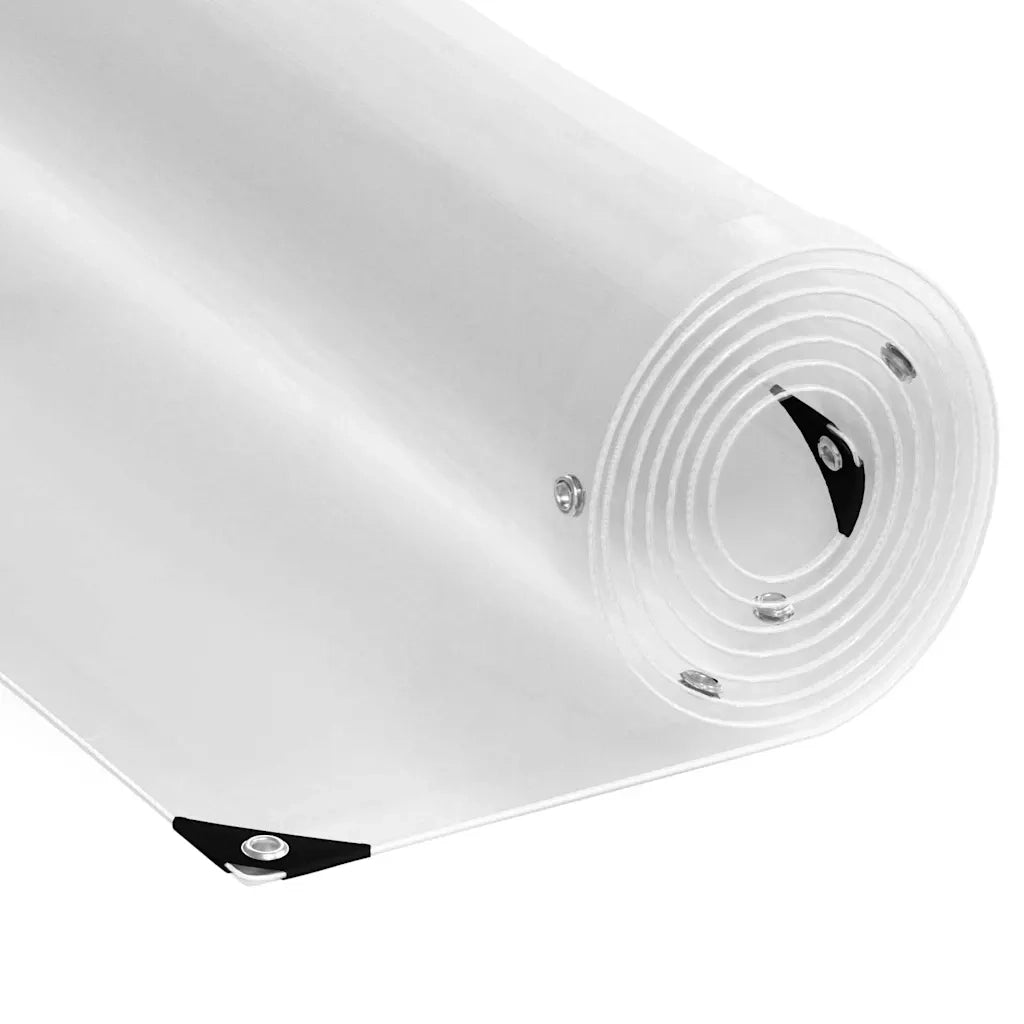 Telone Trasparente con Occhielli 1x10 m in PVC 4018589