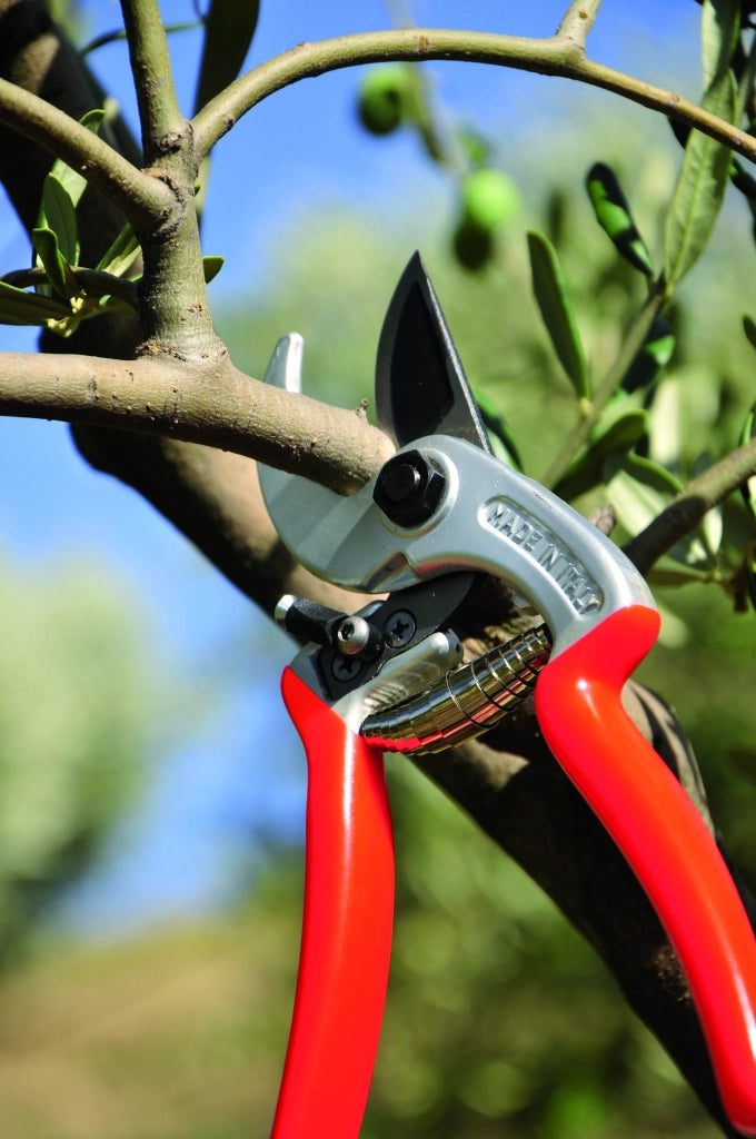 Castellari FORBICI PER POTATURA ERGONOMIC LAME CURVE cm. 21