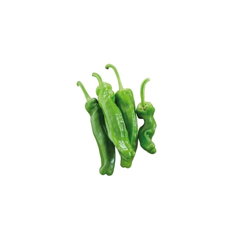Peperone Friggitello (Friariello)  Gran Raccolto