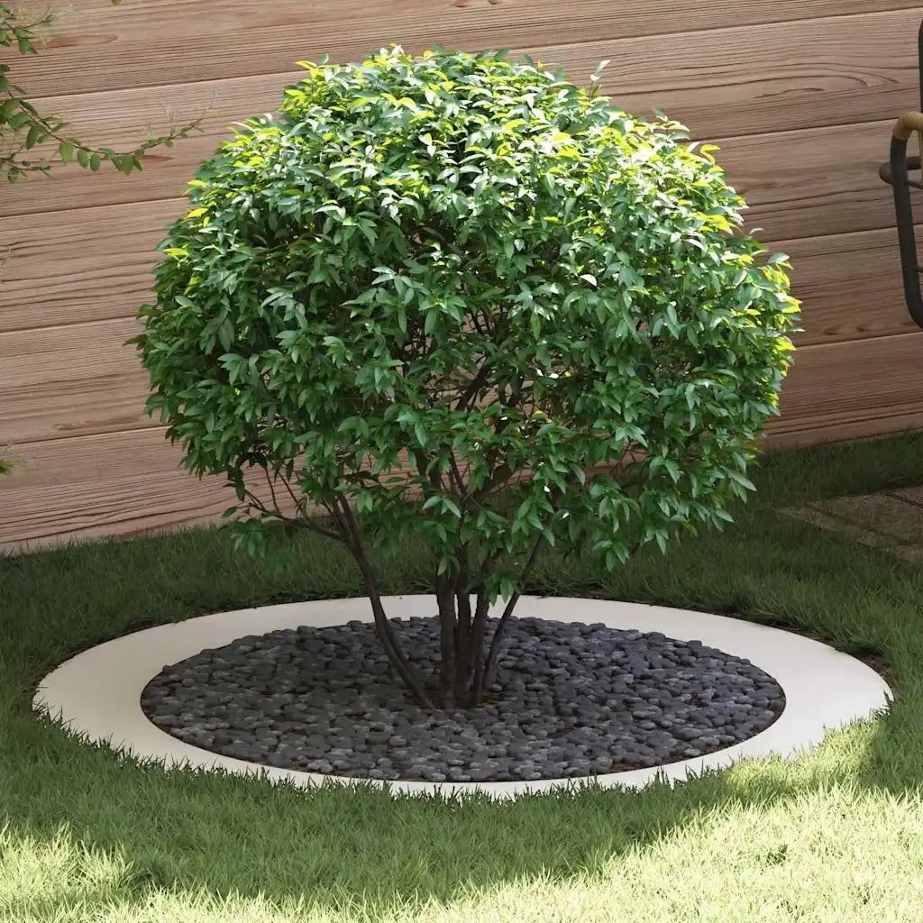 adatto per Anelli d'Albero Piatto 5 pcs Bianco Ø90 / 120 cm 873721